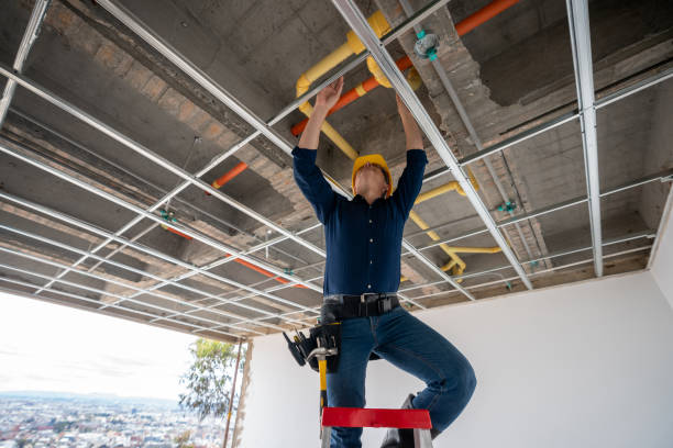 Best Affordable Plumbing Services  in Keego Harbor, MI